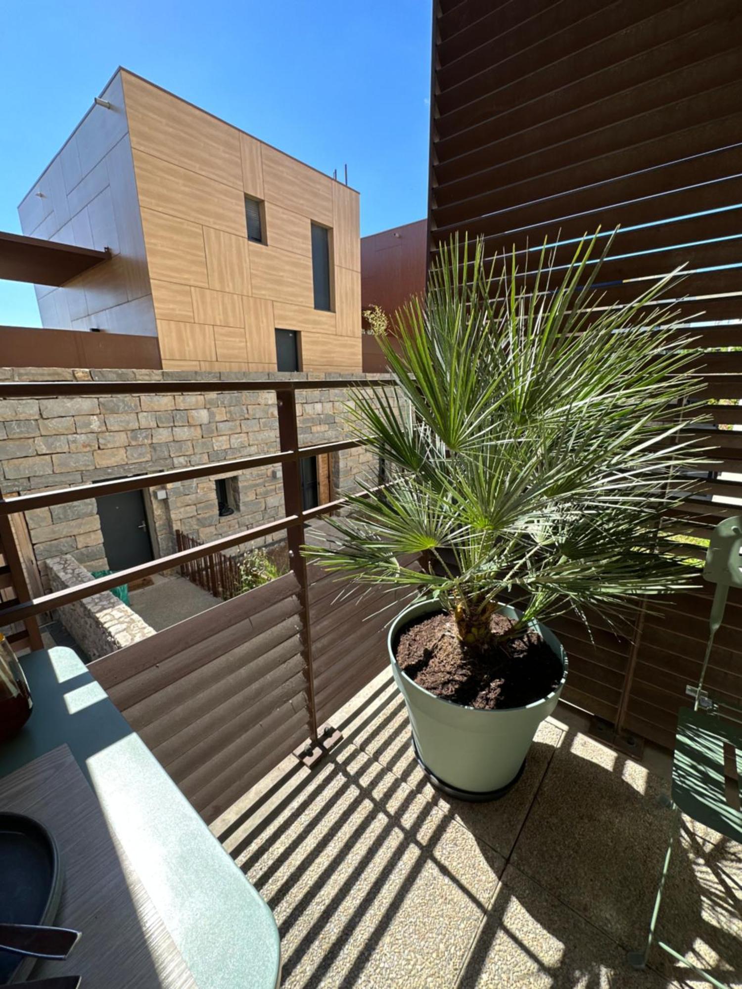 Appartement Charmant Au Porte De Montpellier Saint-Jean-de-Védas Exteriör bild